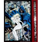 Marvel Super Heroes Poster #8 1984 Cloak & Dagger Leonardi & Austin MIP