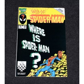 Marvel Comics The Web of Spider-Man Copper Age x24 Lot