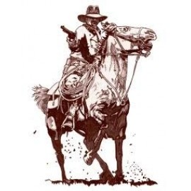 Action Figures: Western/Cowboys