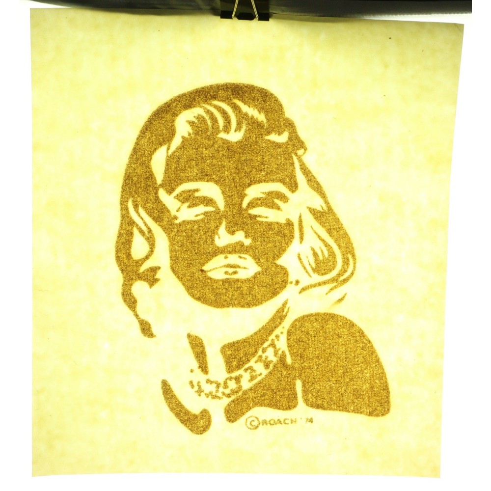 Marilyn Monroe 1974 Iron On T-Shirt Transfer Portrait Roach