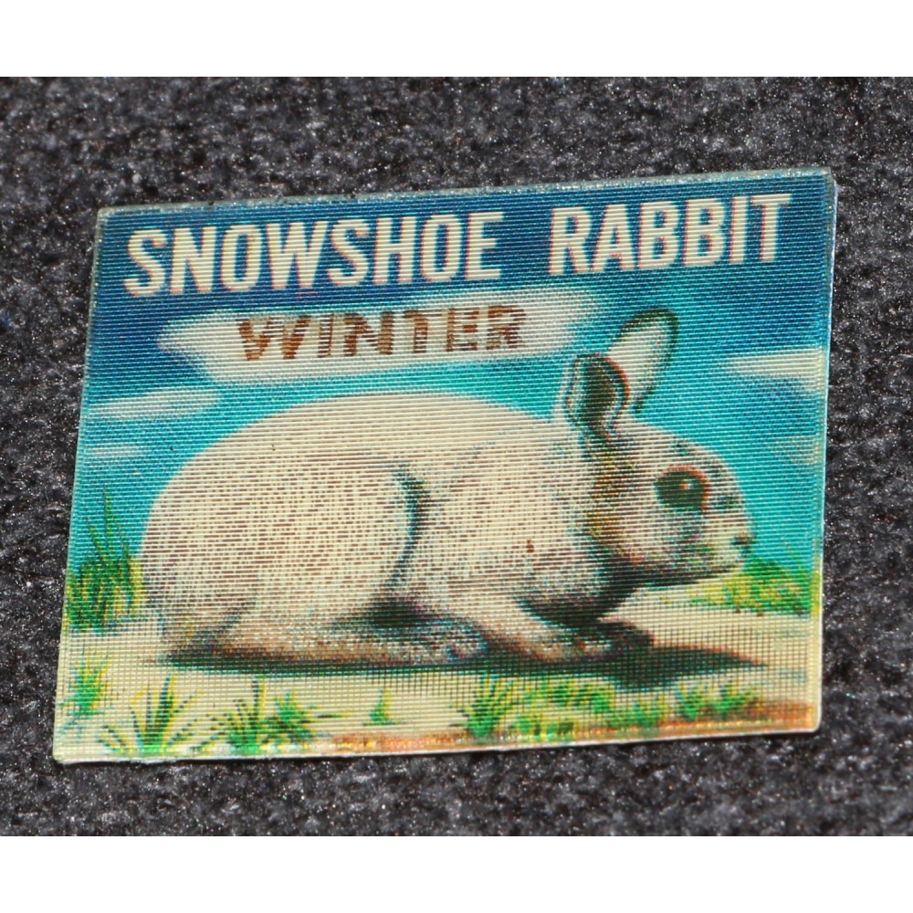 Lenticular 1960s Snowshoe Rabbit Audubon Society Flasher